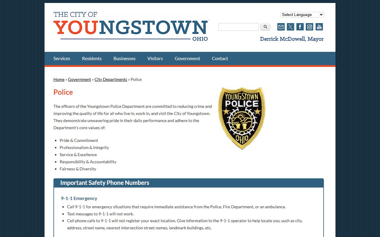 Youngstown busted mugshots police department website